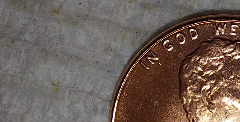 2022-Lincoln-DDO-Penny